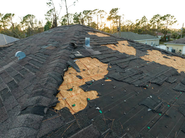 Best Storm Damage Roof Repair  in Eagle Pass, TX